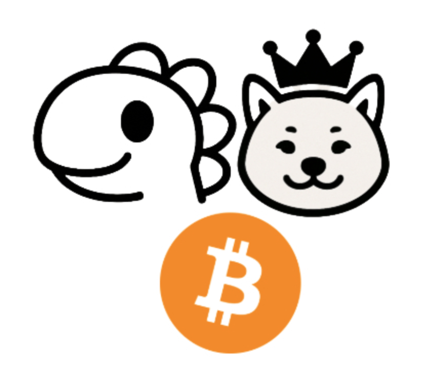 Bitcoin Racing USA team logo